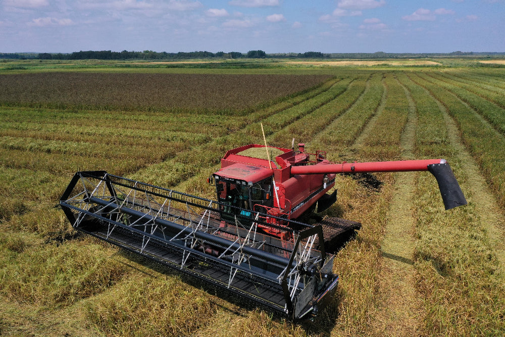 Red combine harvester in a field with harvested and unharvested crops.
